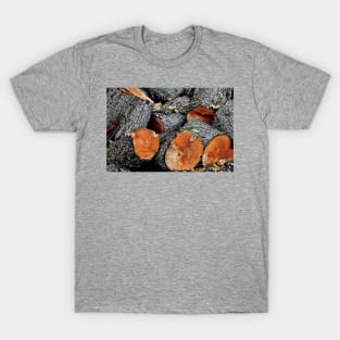 Log Pile T-Shirt